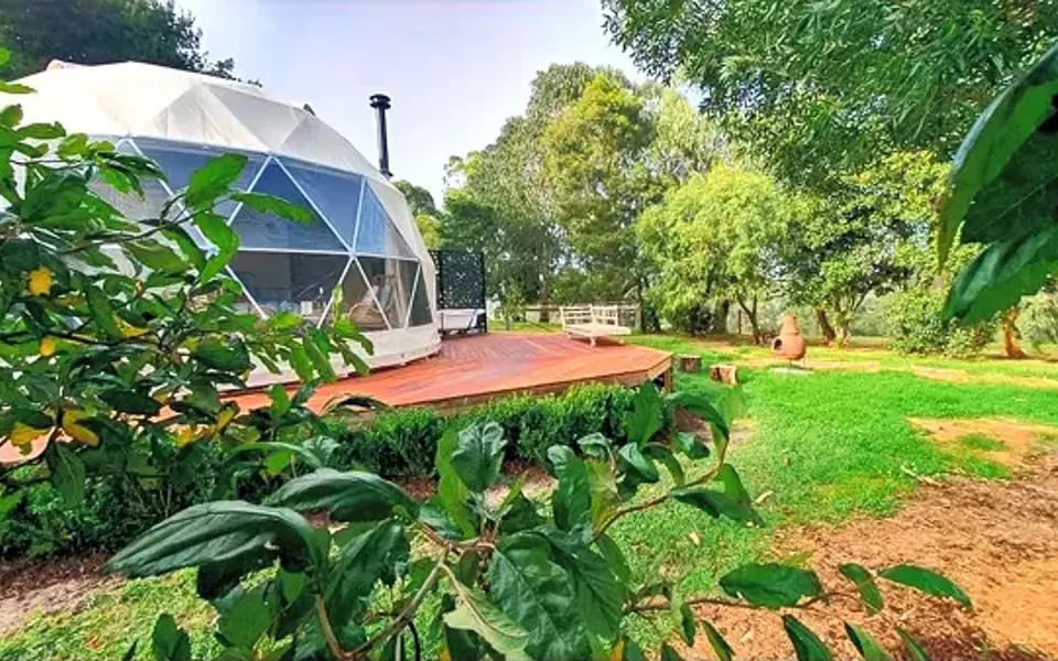 Yurt in the Dirt Geo Dome